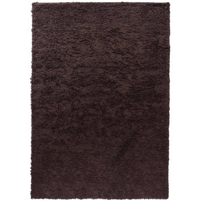Esterly Brown Shaggy Area Rug