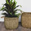 Seagrass Lined basket in natural S/2 D35 x H30cm