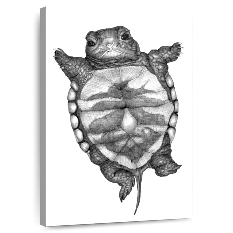 Brampt Little Turtle, 51" H x 34" W