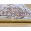 Tapis oriental en polypropylène doré Pleasant Plains-1018784904
