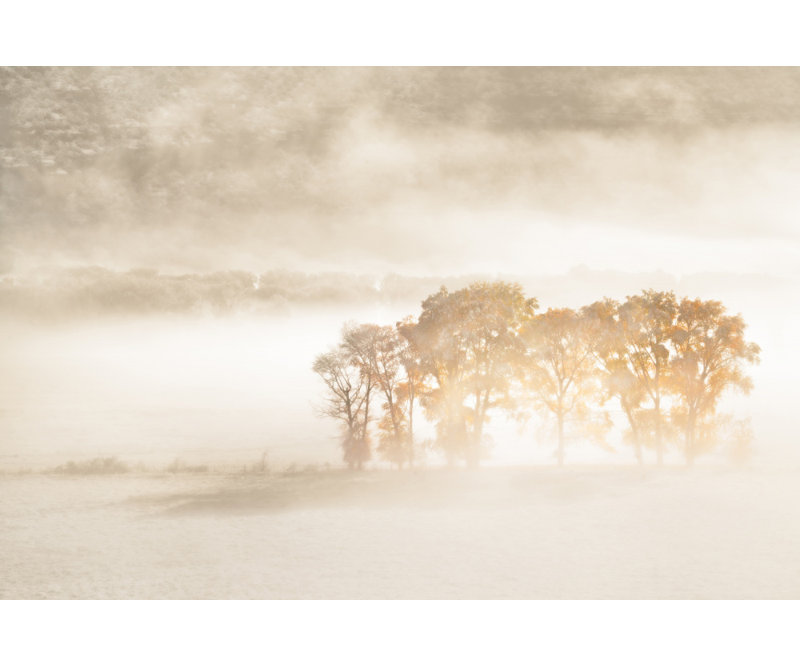 Wrapped Canvas Print, 60.96 cm H x 91.44 cm W