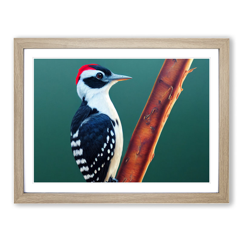 Select Woodpecker Bird - Framed Print, 46cm H x 64cm W x 2cm D, Oak