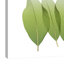 Golden Magnolia Leaf - Wrapped Canvas Print-618254188