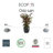 Ecopots Oslo Indoor/Outdoor Modern Recycled Plastic Flower Pot Planter-80209419-80209424