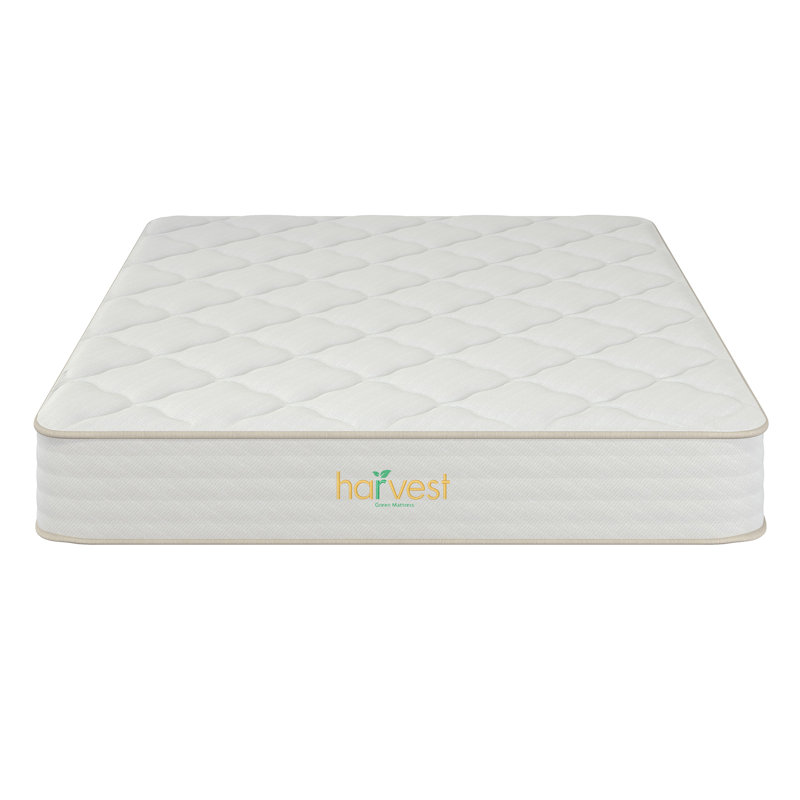 Twin Organic Latex Foam Pillowtop Mattress