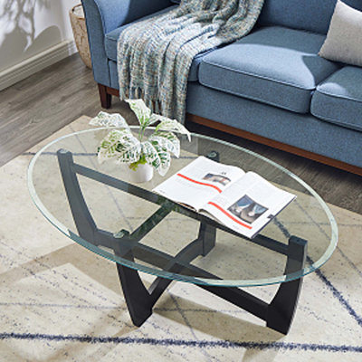 Table basse ovale en verre, table centrale avec plateau en verre