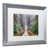 Argent