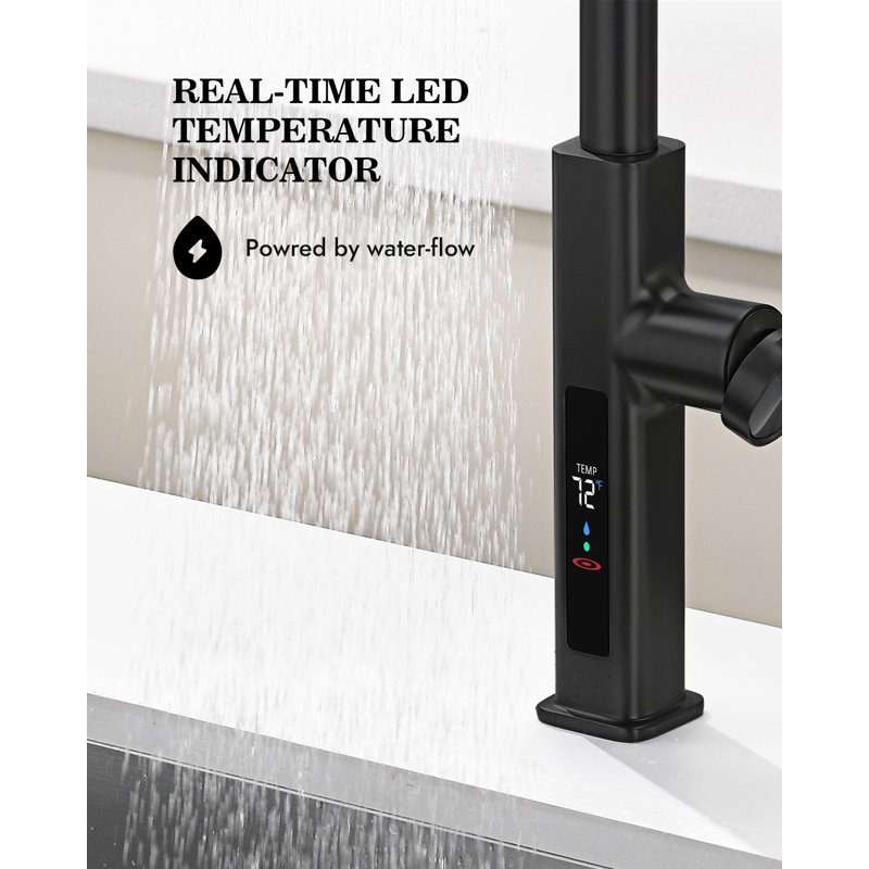 Single Handle Kitchen Faucet with Accessories, Black