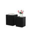 Ensemble de 2 tables d'appoint Nesting Table