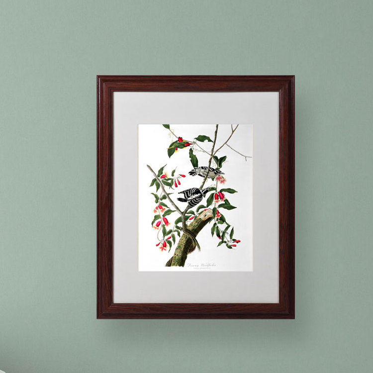 « downy woodpecker », reproduction d’art sur toile encadrée, H 20 po x l 16 po x P 0,5 po, Brun