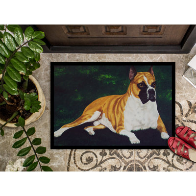 Non-Slip Outdoor Doormat