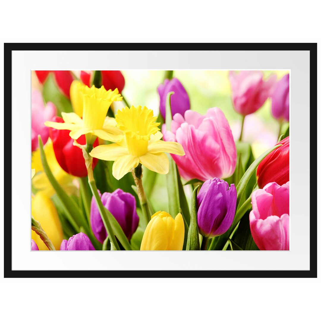 Gerahmtes Poster Osterglocken und Tulpen