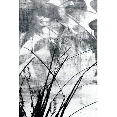 Exposure IV by Jennifer Goldberger - Wrapped Canvas Print