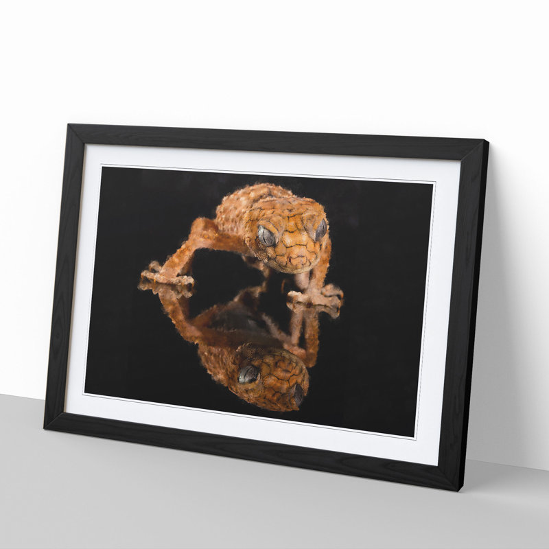 Rough Knob Gecko Lizard - Picture Frame Graphic Art, Black Framed, 27cm H x 36cm W x 2cm D