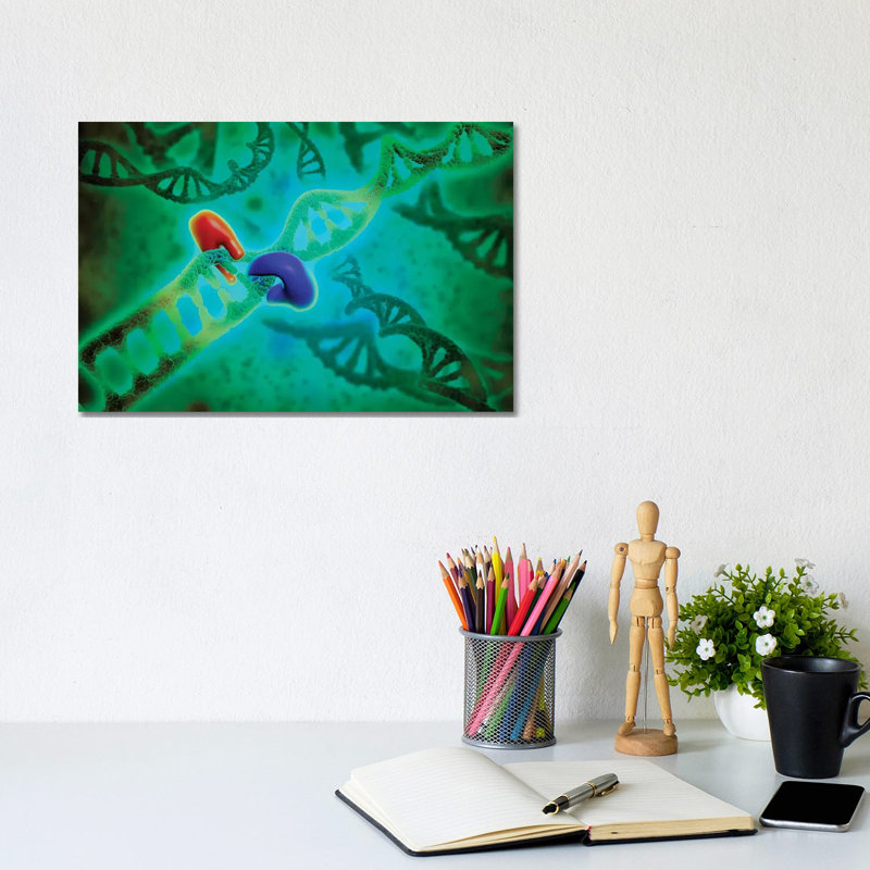 " Microscopic View Of DNA Binding II " by Stocktrek Images, 8" H x 12" W x 0.75" D