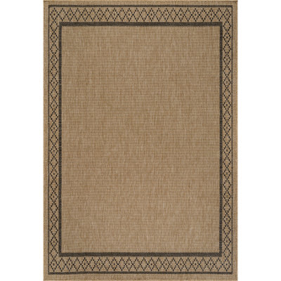 Indoor Outdoor Area Rug