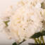 14 "Arrangements de fleurs d'hortensias artificiels, bouquet floral artificiel en vrac pour des décorations de centre de table-101811103
