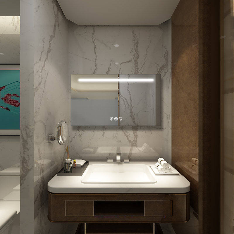 Miroir de salle de bain Hartmut, 24 po x 42 po