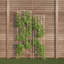 Steel Arched Trellis-1774062588