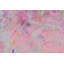 Summer Views Original Painting