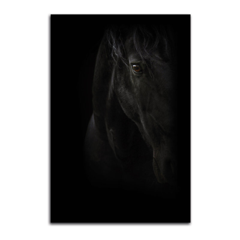 « black perle », impression, H 24 po x l 16 po x P 0,01 po, Papier