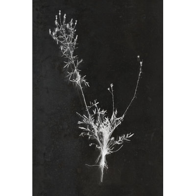 «You Can X-ray Beauty On Canvas» par Kamdon Kreations, impression
