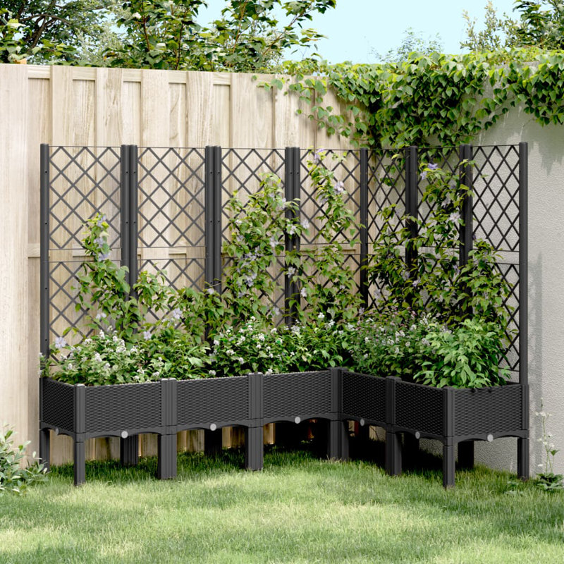 Breckon Planter Box, 55.9'' H X 47'' W X 63'' D, Black