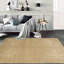 Kohlberg Rectangle 4'11" X 6'10" Area Rug