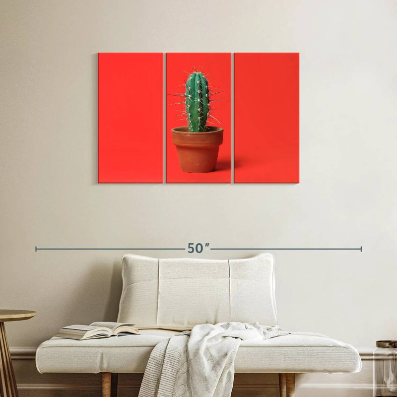Cactus en pot Harnek, H 24 po x l 38 po