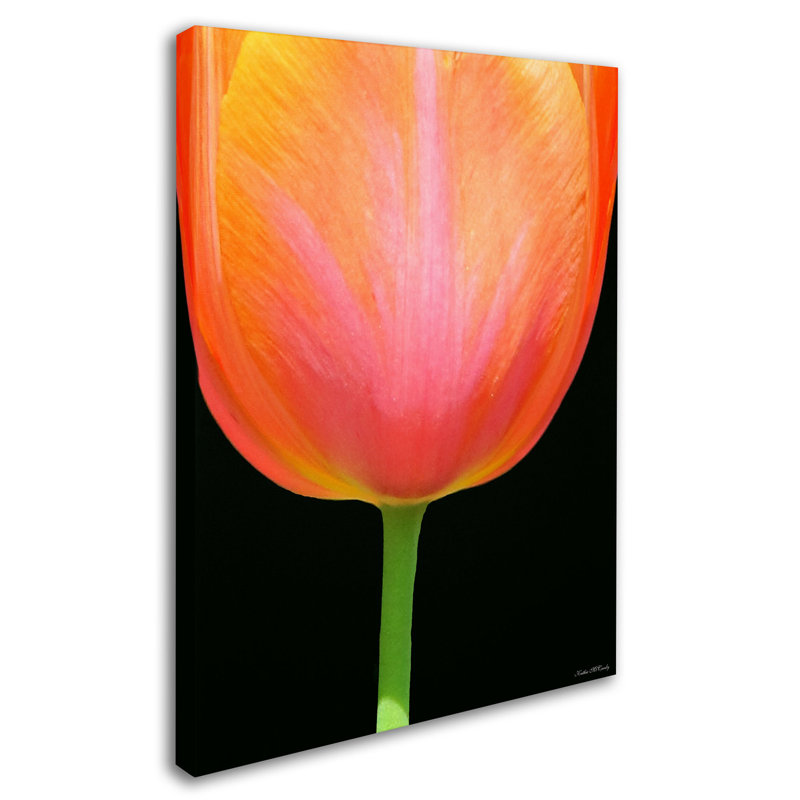 « orange tulip » par kathie mccurdy,, reproduction de photo sur toile tendue, H 47 po x l 35 po x P 2 po