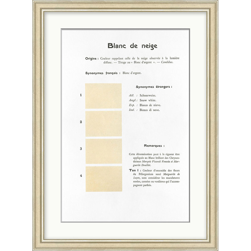 Neutral 13 Print by Danielle Rollins