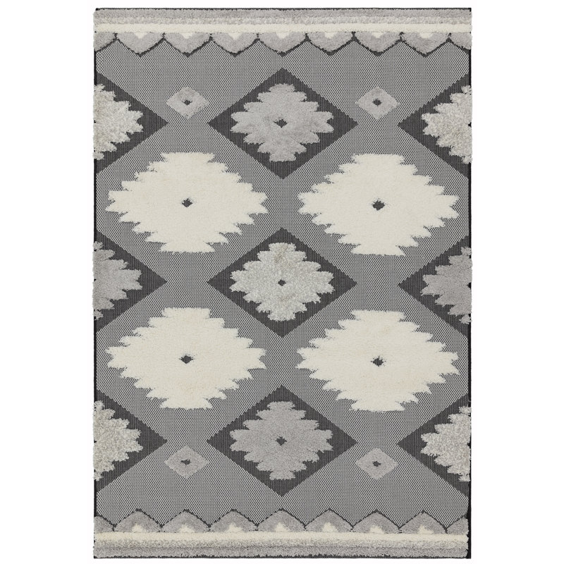 Perrotta Southwestern Indoor / Outdoor Area Rug, Rectangle 160 x 230cm