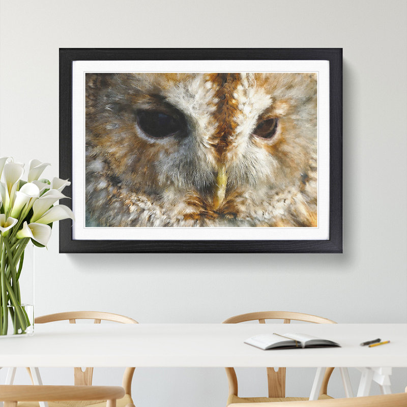 Tawny Owl Vol.2 - Picture Frame Graphic Art, 48cm H x 65cm W x 2cm D, Black