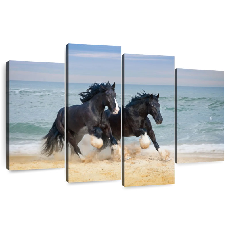 Brampt Black Shire Horses