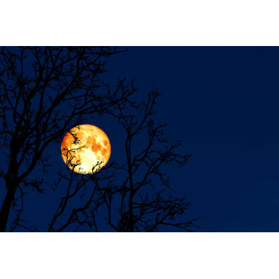 " Full Moon " by Chayanan