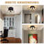 Aiela Spotlight-794169461