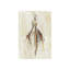 Beau Monde I Print by Elena Carlie-26947195-128131523
