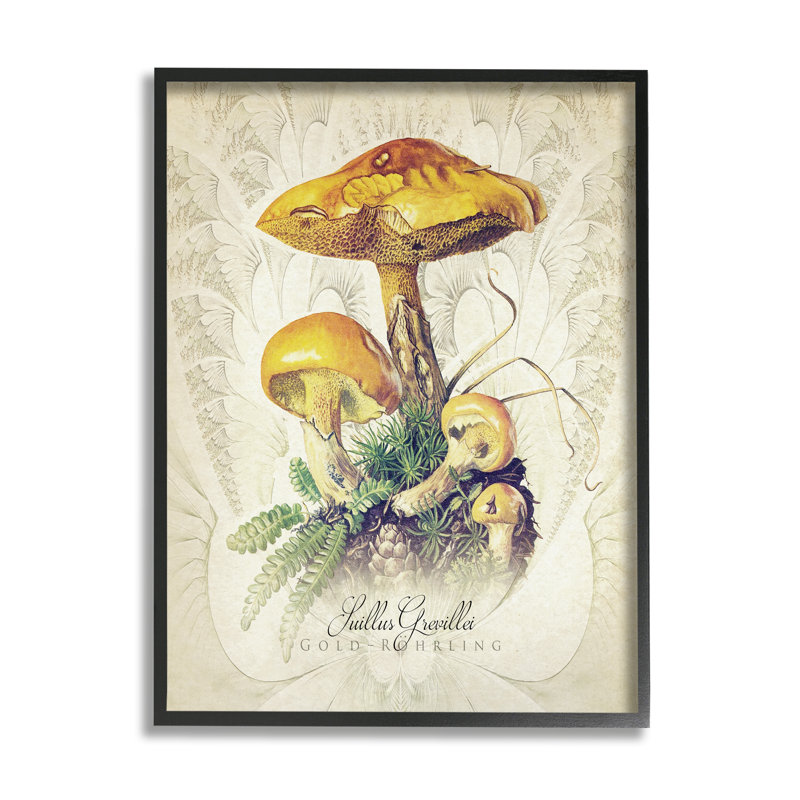 Étude de champignon allemand allemand sur bois par Steve Hunziker, impression, H 14 po x l 11 po x P 1,5 po