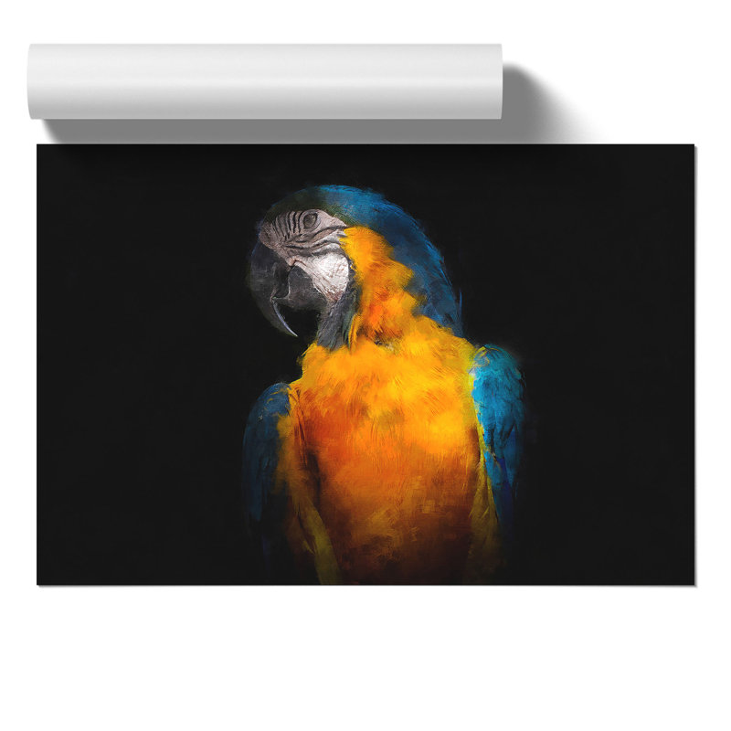 A Blue And Yellow Macaw Parrot - No Frame Print, 30cm H x 42cm W x 0.1cm D