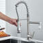 Belfry Kitchen Cyron Pull Out Kitchen Faucet
