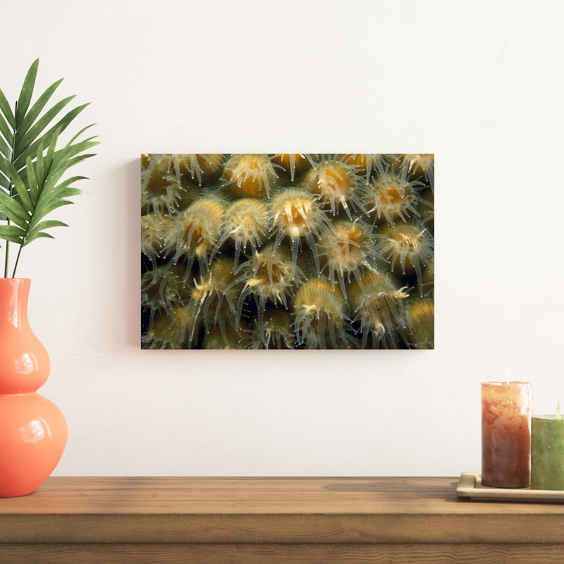 «Tender Passion Negril, Georgia» par Beverly Factor - photographie sur toile tendue, H 12 po x l 18 po x P 1,25 po