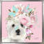 Flower Westies (Square) par By Jodi - impression-1675307221-1675307222