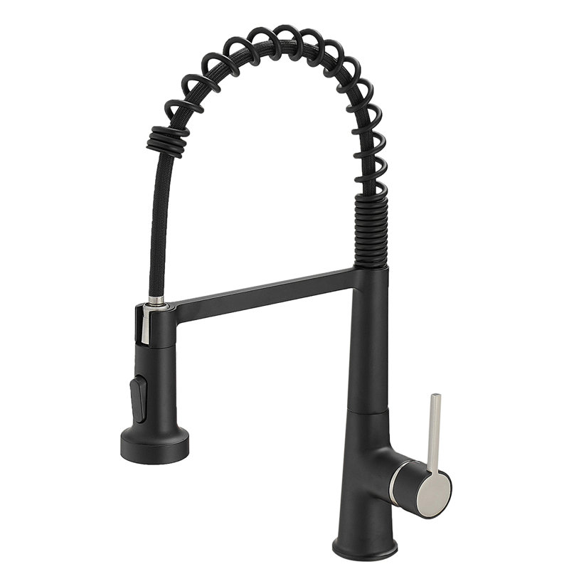 Robinet pour évier de cuisine, robinet de cuisine avec douchette rétractable, robinet d'évier de cuisine à ressort commercial moderne