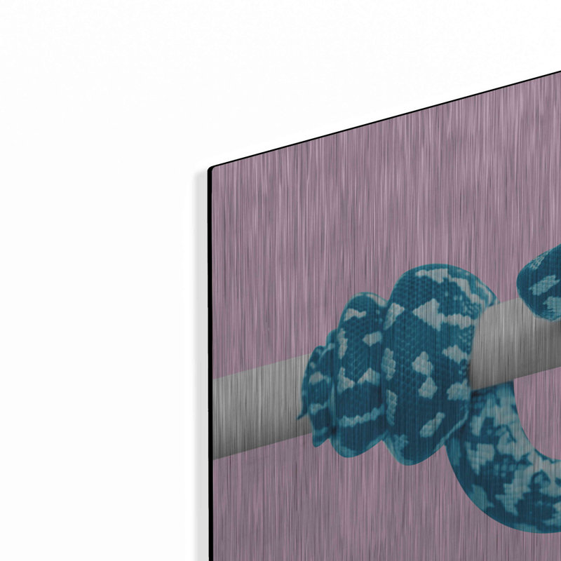 "Sneck 1" par Mark Ashkenazi, H 16 po x l 24 po