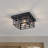 2-Light Bulbs Modern Black Metal Iron Ceiling Light with ETL Certification Flush Mounting Light