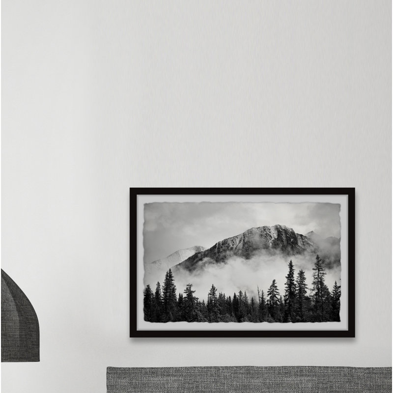 Forest On Fog - Single Picture Frame Print, 38cm H x 45cm W x 3.81cm D