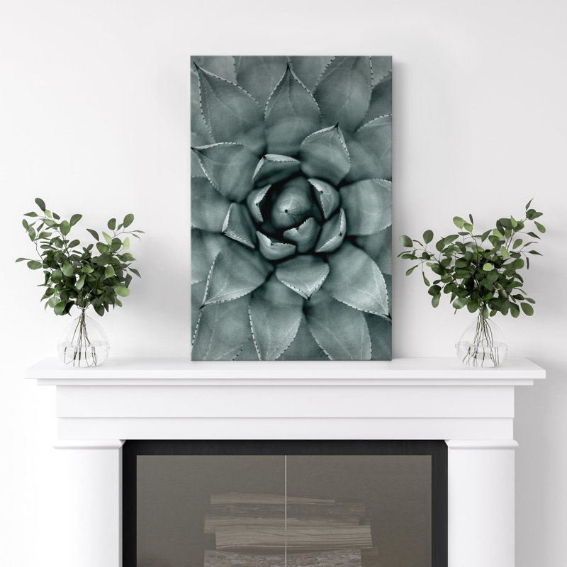 Plante grasse pour chambre à coucher, H 48 po x l 32 po
