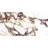 Cala Rosso 24" x 48" Polished Porcelain Tile