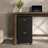 Ebern Designs File Cabinet - 2-Drawer Cabinet with Lock and Deep Drawer Storage - Rolling Filing Organizer for Under The Desk, Home, or Office-416611533