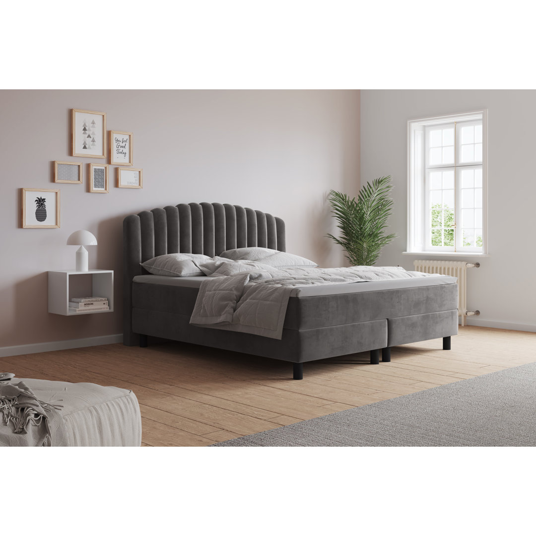 Boxspringbett Adinath mit Kaltschaum Topper, mit Samtstoff bezogen